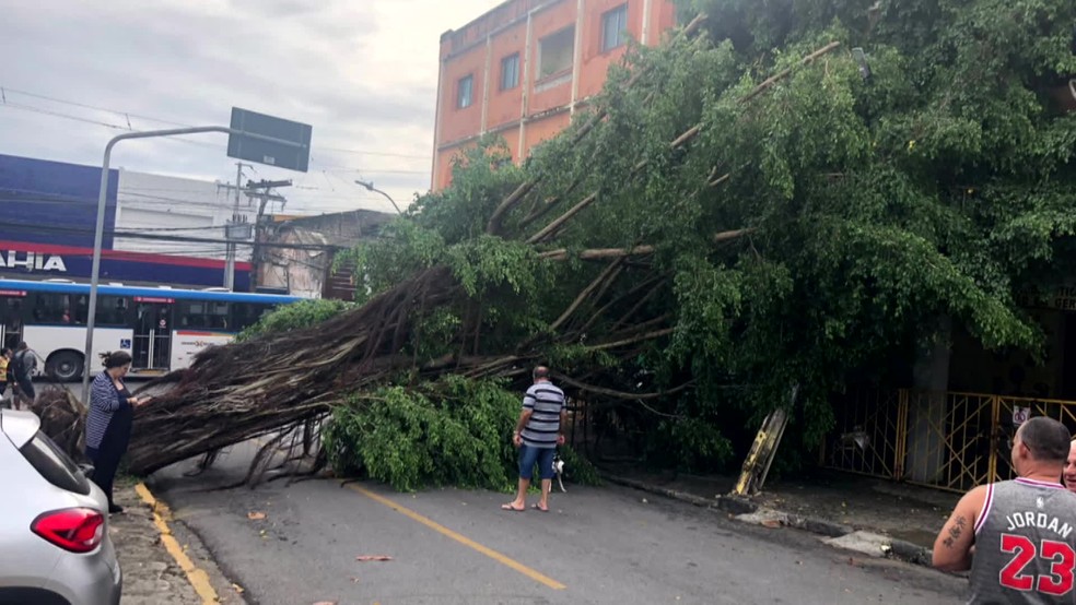 FORTES CHUVAS E VENTOS CAUSAM QUEDA DE ÁRVORES, ENXURRADA E DESLIZAMENTO EM PERNAMBUCO