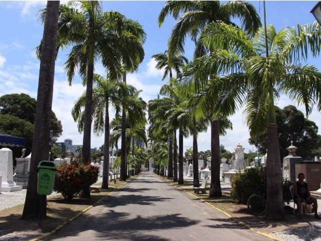 Dia de Finados: cemitérios do Grande Recife se preparam para receber visitantes nesta quinta (2)